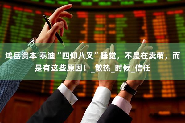 鸿岳资本 泰迪“四仰八叉”睡觉，不是在卖萌，而是有这些原因！_散热_时候_信任
