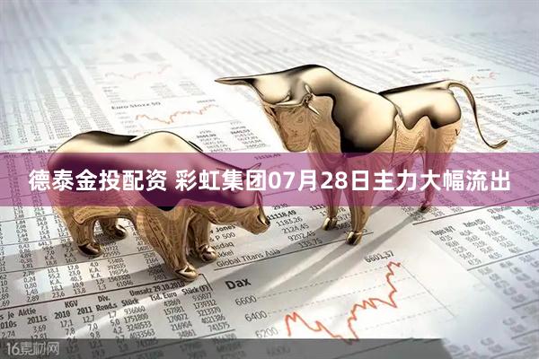 德泰金投配资 彩虹集团07月28日主力大幅流出