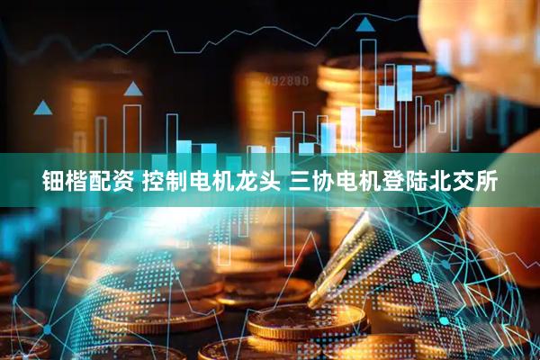 钿楷配资 控制电机龙头 三协电机登陆北交所