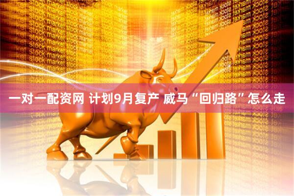 一对一配资网 计划9月复产 威马“回归路”怎么走